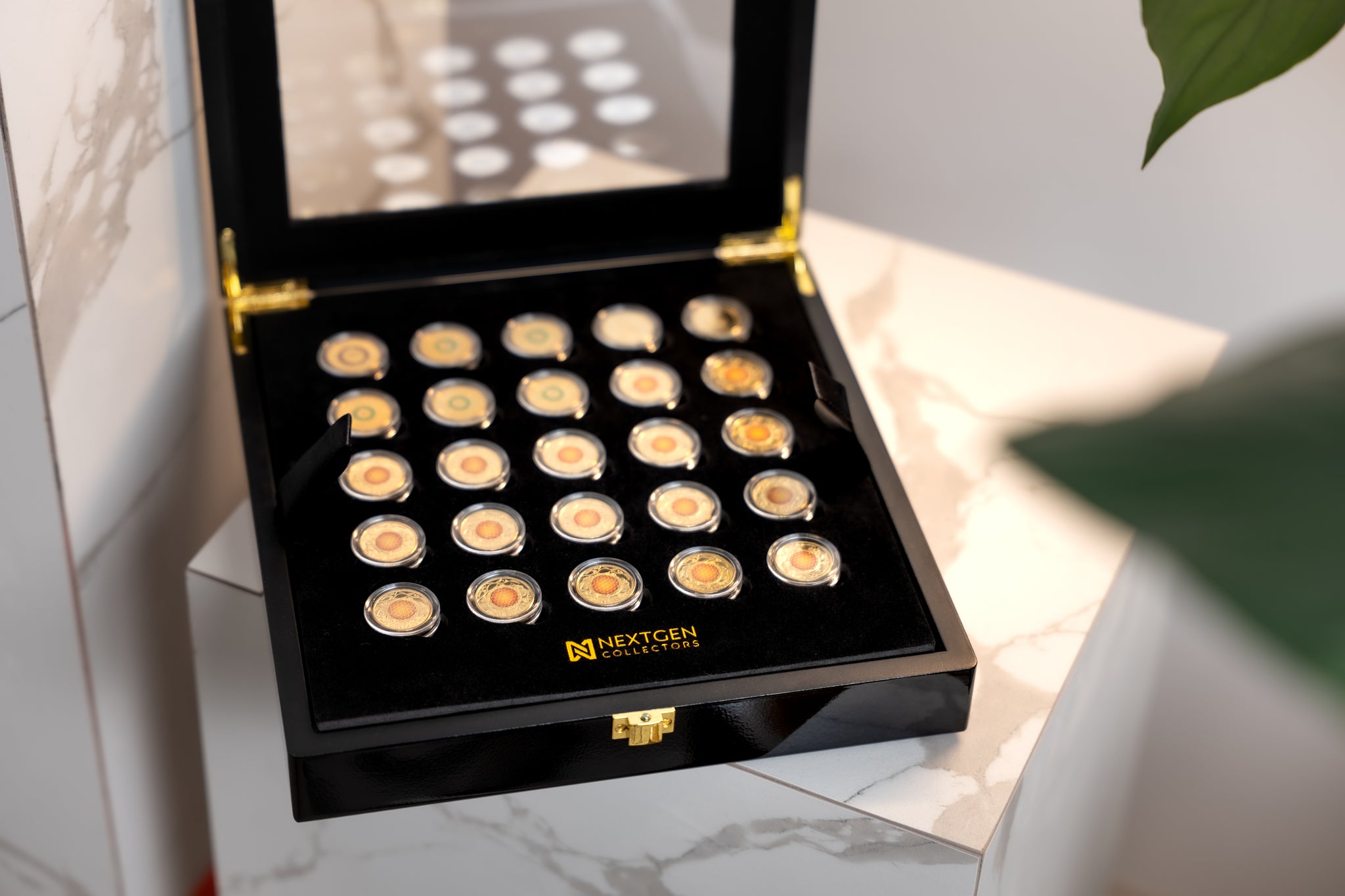 NextGen Collectors $2 Coin Capsule Display Box – 50 Slot Gloss Black ...
